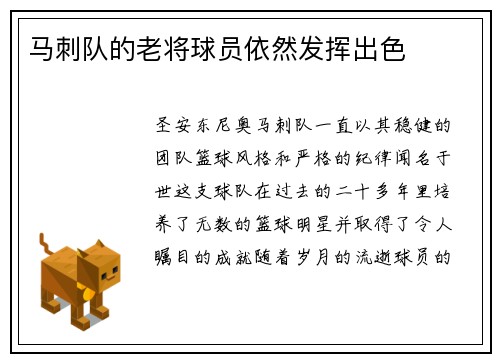 马刺队的老将球员依然发挥出色