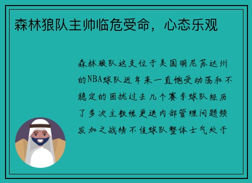 森林狼队主帅临危受命，心态乐观